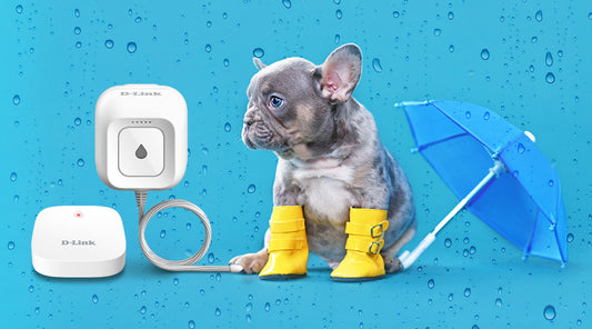 D-Link Whole Home Smart Wi-Fi Water Leak Sensor Starter Kit - The Must have Gadget to Help Protect your Home this Spring