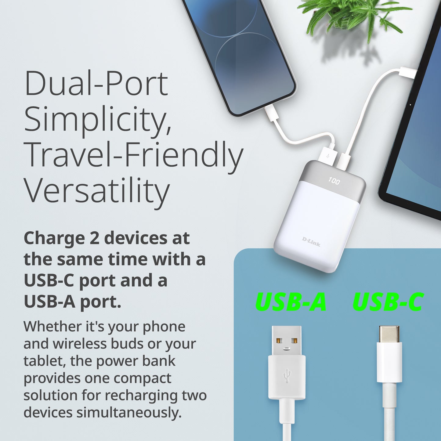 Batterie externe 10 000 mAh – DPP-101