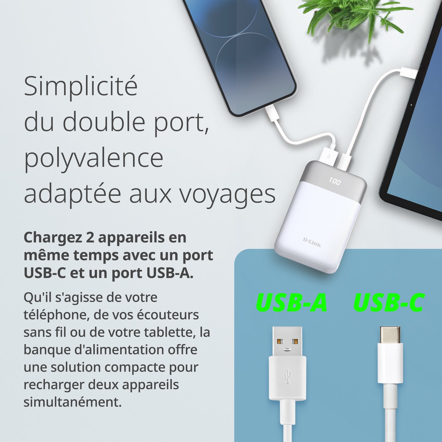 Batterie externe 10 000 mAh – DPP-101