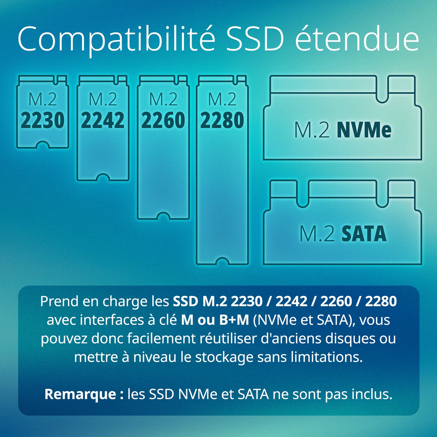 Boîtier SSD USB-C M.2 NVMe/NGFF - DSP-111