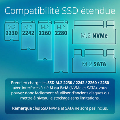 Boîtier SSD USB-C M.2 NVMe/NGFF - DSP-111